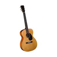 Accoustics Guitar