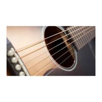 Guitar Strings