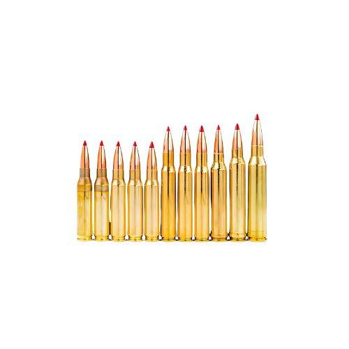 Rifle Ammo