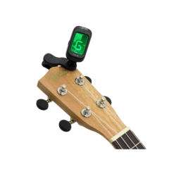 Riga Byte (Riga Bros) Ladysmith guitars and musical instruments supplier