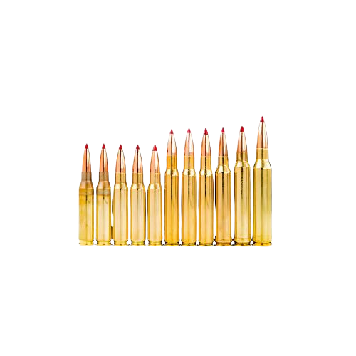 Rifle Ammo