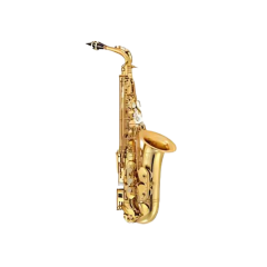 Musical accessories like strings and stands at Riga Byte, also known as Riga Bros, Ladysmith