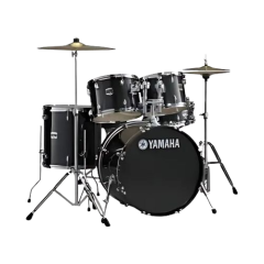 Riga Byte (Riga Bros) Ladysmith guitars and musical instruments supplier